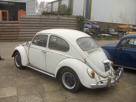 VW 1200